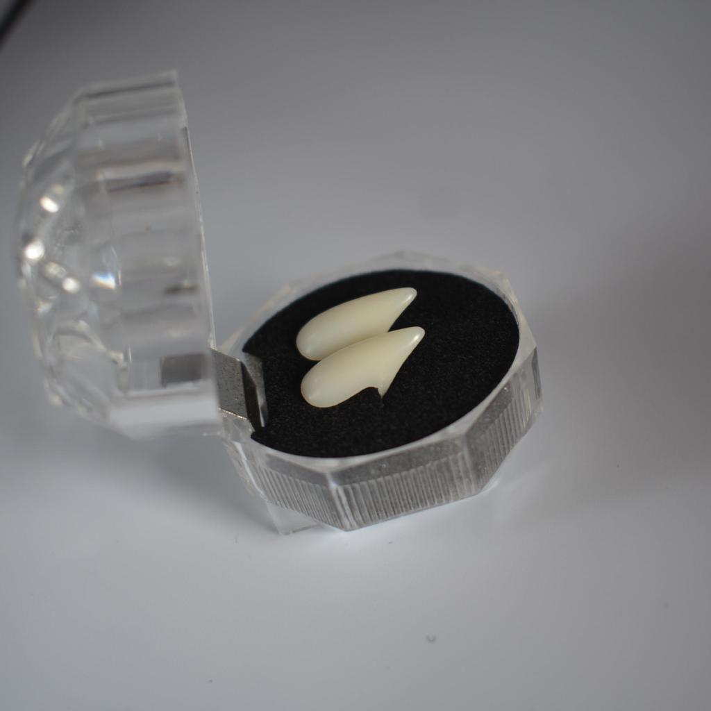 Halloween Wampir Zombie Proteza Parodia Zabawki Imprezowe Rekwizyty Kulowe Proteza Holloween Dekoracja Imprezowa