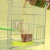 Automatic Bird Feeding Bowl No Mess Transparent Parrot Feeder Large Capacity Easy Clean Food Container For Small Birds