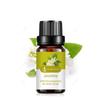 10ml Pure Plant Extrat Essential Oil Purify The Air Bactericide Body Relieve Water Soluble Oil