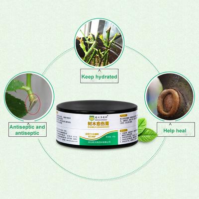 Ormone Radicante Marca Garden Safe 50 g Aiuta a Far Crescere Nuove Piante da Talea Sigillante per Ferite degli Alberi per un Rapido Recupero