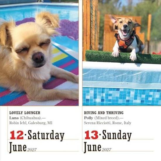 365 Dogs Page-A-Day Calendar 2027 Worlds Favorite Dog