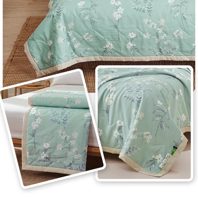 Jie Li Ya Printed Washable Summer Quilt