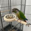 Stainless Steel Feeding Cup Wooden Bird Feeder Perch For Small Medium Parrots With Detachable Design Easy To Clean