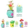 Science Experiment Diy Desktop Potted Plant Kit With Germination Seeds For Kids And Office Decor