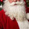 White Santa Claus Beard Adjustable Fake Curly Costume Prop Christmas Theme Dress Up Accessory Holiday Party Supplies for Adults