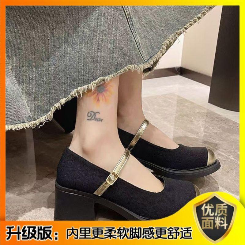 2025 spring and autumn women's single shoes Korean version of new high heels women's retro women's shoes light mouth versatile with skirt