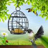 Bird Feeder Iron Hanging Fat Ball Holder Bird Treat Box Garden Feeding Tools For Finch Sparrow Robin Wild Birds