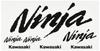 Ninja Logo Sticker Kit B J70100120