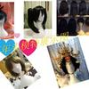 In-Stock Jewelry & Wig Display Mannequin Head for Photography Props