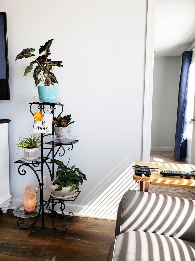 Susire Flower 5 Gartenblume Hohe Höhe Wohnbalkonständer, Eisen, Innenbereich, Etagen, Schwarz, Eingangsbereich, Stilvoll, Groß, Schlank, Regal, Zimmerpflanze,