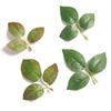 Filigree Rose Leaf Greenery for DIY Wedding Decor & Photography Props