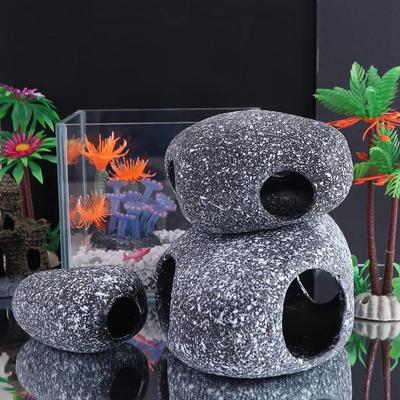 Vissen en zeedieren – Aquarium decoratie