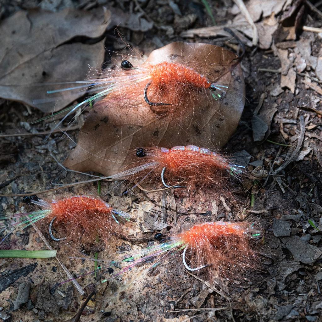 Goture Dry Fly Complete Fly Pack of 8 Fly Fishing Hairy Fly Mountain Stream Tenkara Trout Fishing Fly Set Can Be Used In Saltwater and Freshwater