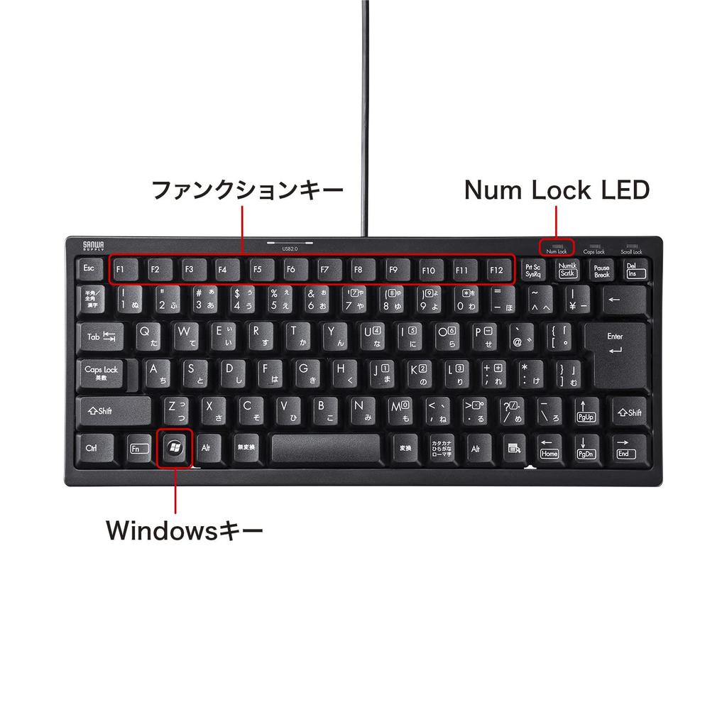 Sanwa Supply Compact Keyboard with USB Hub Black Numeric (SKB-KG3UH2BK) (No Keypad)