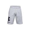 Casual Shorts Men's Gray Moderate 1357118-011