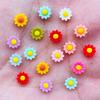 100Pcs  New 6Mm Kawaii Cute Mixed Flowers Flat Back Resin Cabochons Scrapbooking Diy Jewelry Craft Decoration Accessorie A41