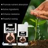 Fast Acting Rooting Powder Plant Hormone Boosts Cuttings Root Develops for Fruit Trees Nursery and Transplant Use