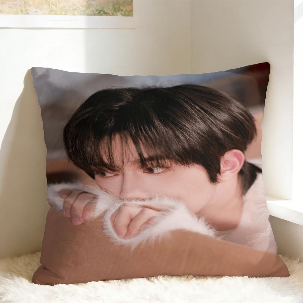 Huang Xing Eliot Huang D-Desire Pillow Case Comfy Pillow Cover For Office Car Home Decor Cute Funny Cushion Cover