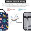 Dinosaur Dino Fun Lunch Bag Insulated Lunch Box Reusable Lunchbox Waterproof Portable Lunch Tote for Men Boys