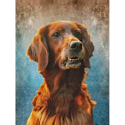 Diamant-Stickerei Hund Golden Retriever voller Runde Diamant Malerei Tier Bilder von Strass