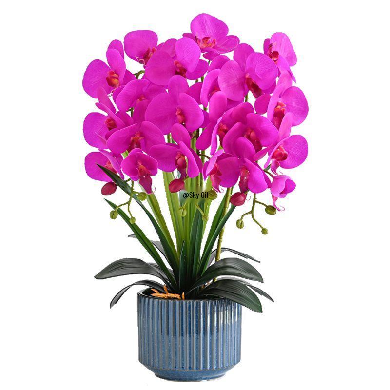 Artificial Phalaenopsis Floral Arrangement for Living Room Display - Potted Decoration for TV Cabinet