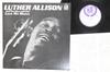 LP Record LUTHER ALLISON THE BLUE NEBULAE  Love Me Mama PA3018 DELMARK Japan Blues Used