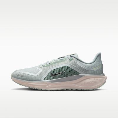 Nike Air Zoom Pegasus 41 Gore-Tex Светлый пемзовый Металлический серебристый 43