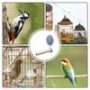 Bird Cage Mirror Birds Toys For Cage Interactive Play Toys Bird Mirror Standing Stick Birds Toys For Parrot Parakeet Budgies