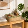 Woven Storage Basket with Internal Iron Frame Divider Organizer for Home Office Desk and Drawer Storage with Multiple Compartments