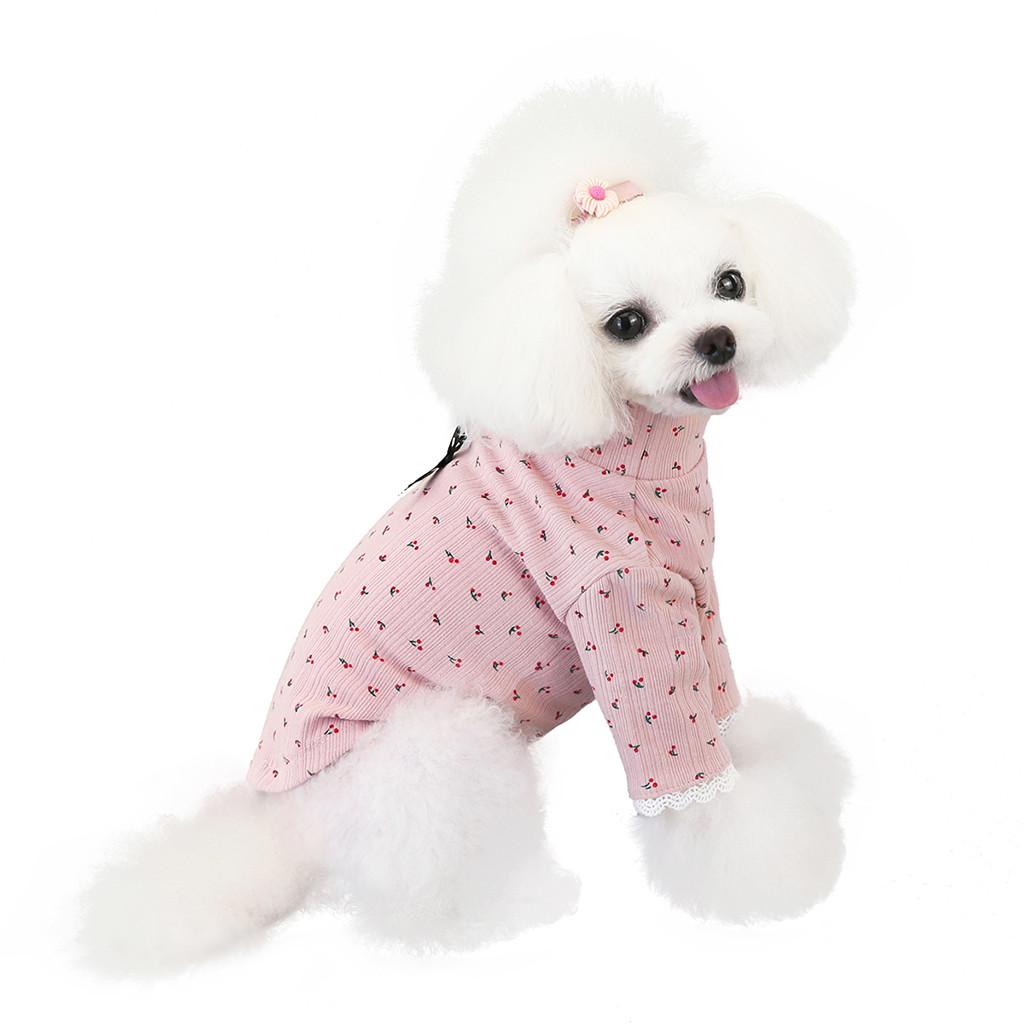 Pet clothes and winter dog clothes bow bottoming shirt