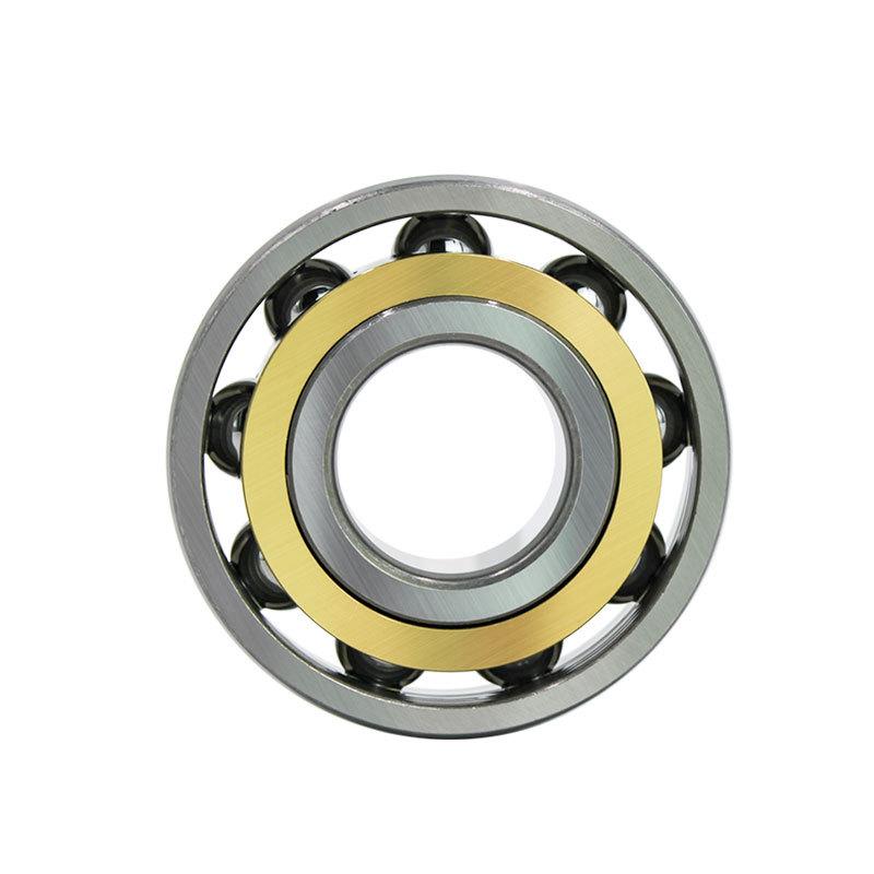 Angular Contact Ball Bearings: Models 7000-7006 ACM Series
