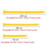 Practical Big Tree Growing Support Stake Bandage Landscape Tree Windproof Fixing Tripod Plastic Cups Greening Gardening Supplies