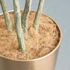 Dust-Free Planter Coconut Fiber Maintain Soil Surface Temperature Fiber for Garden Flower Pots Planters