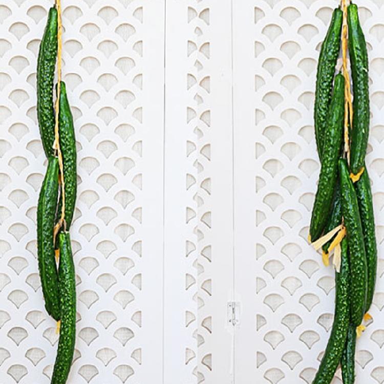 Artificial Vegetable and Fruit String for Different Settings Hanging Garlands