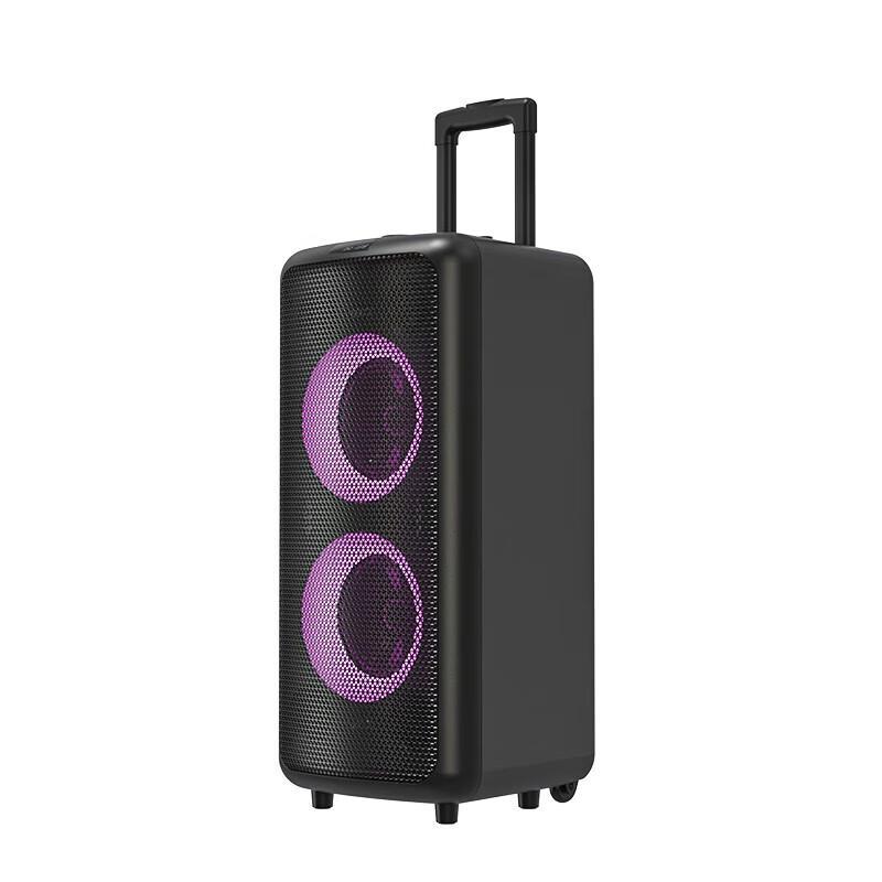 

F&D PA300 Portable Outdoor Speaker with Dual Microphones