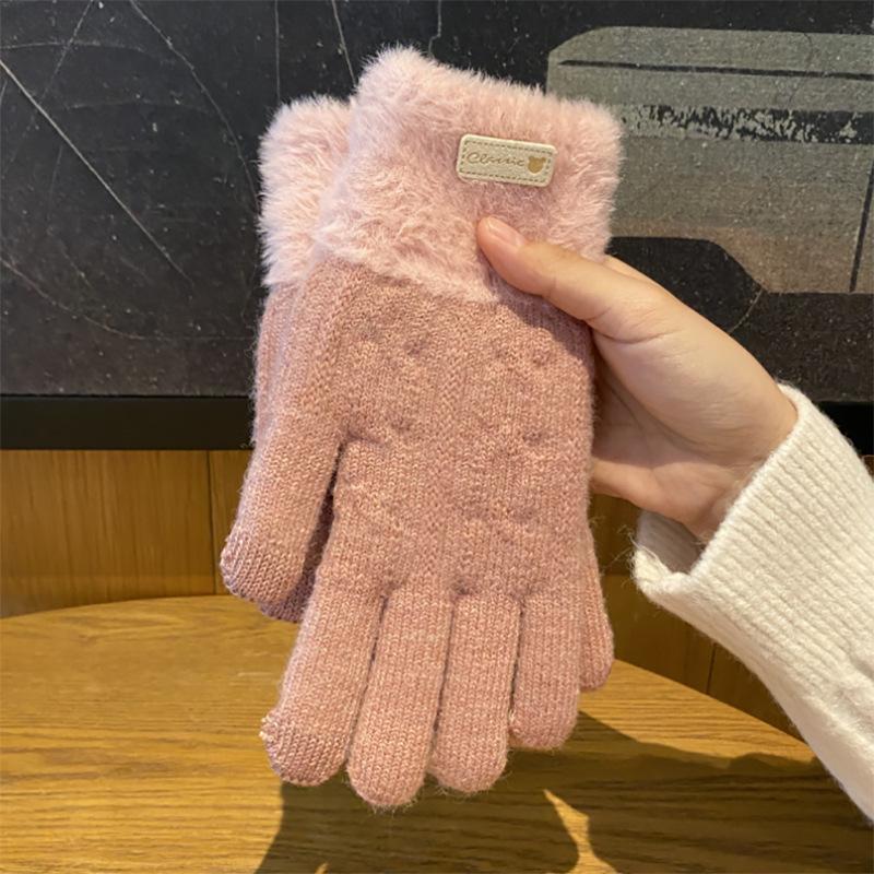 Winter Korean Version of Ins Knitted Wool Gloves for Female Students Riding Thickened Warm Double Layer Touch Screen Gloves