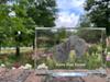 Kerry Blue Terrier, Irish Blue Terrier – Crystal with a picture of a dog, photo in glass | Art-Dog