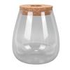 Hydroponische Container Vaas Glas Plant Terrarium Pot voor Bureaus Huizen Tuindecoraties Huis Ovaal