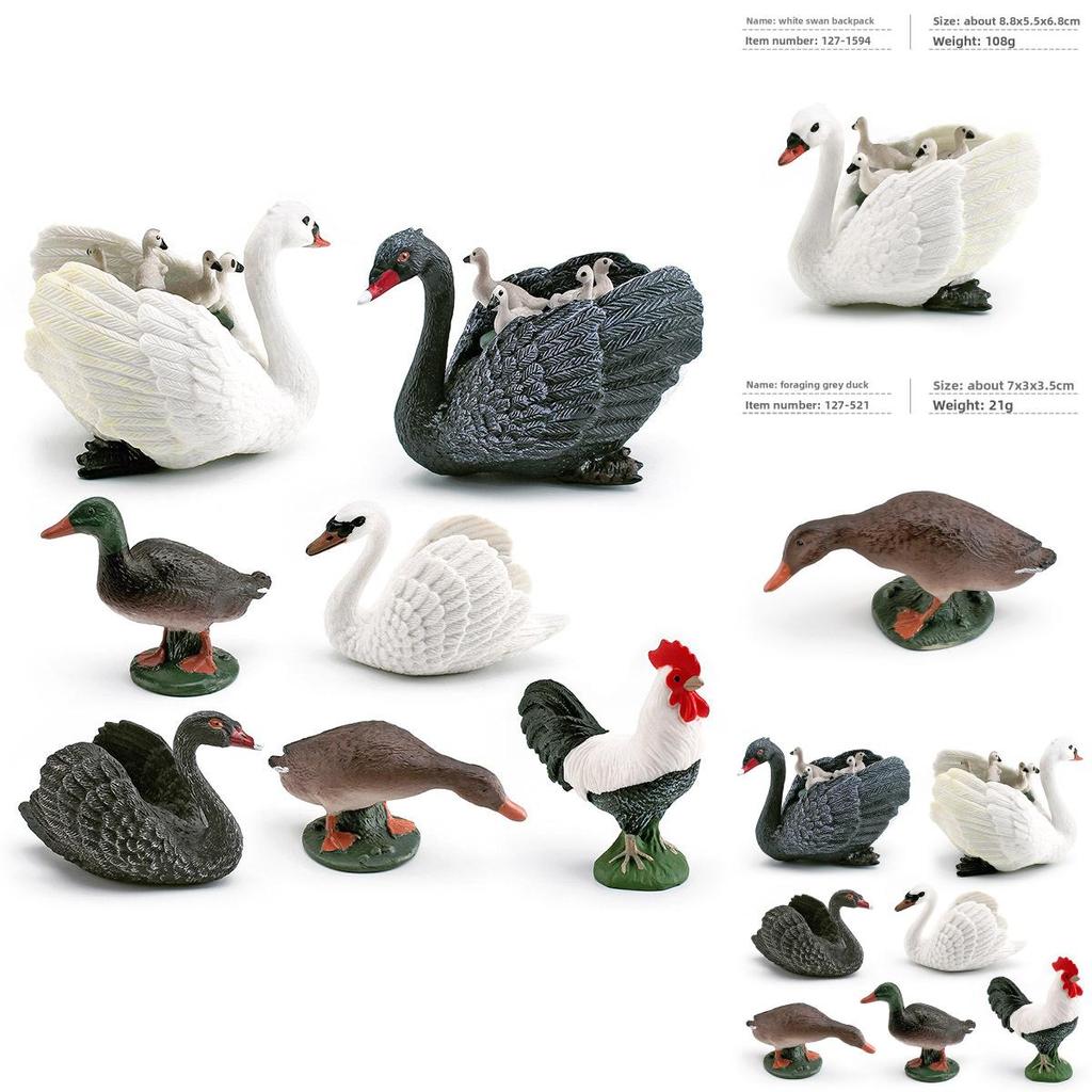 Animal Figurine With Realistic Plastic Ducks Rooster Swans For Educational Display And Collecting