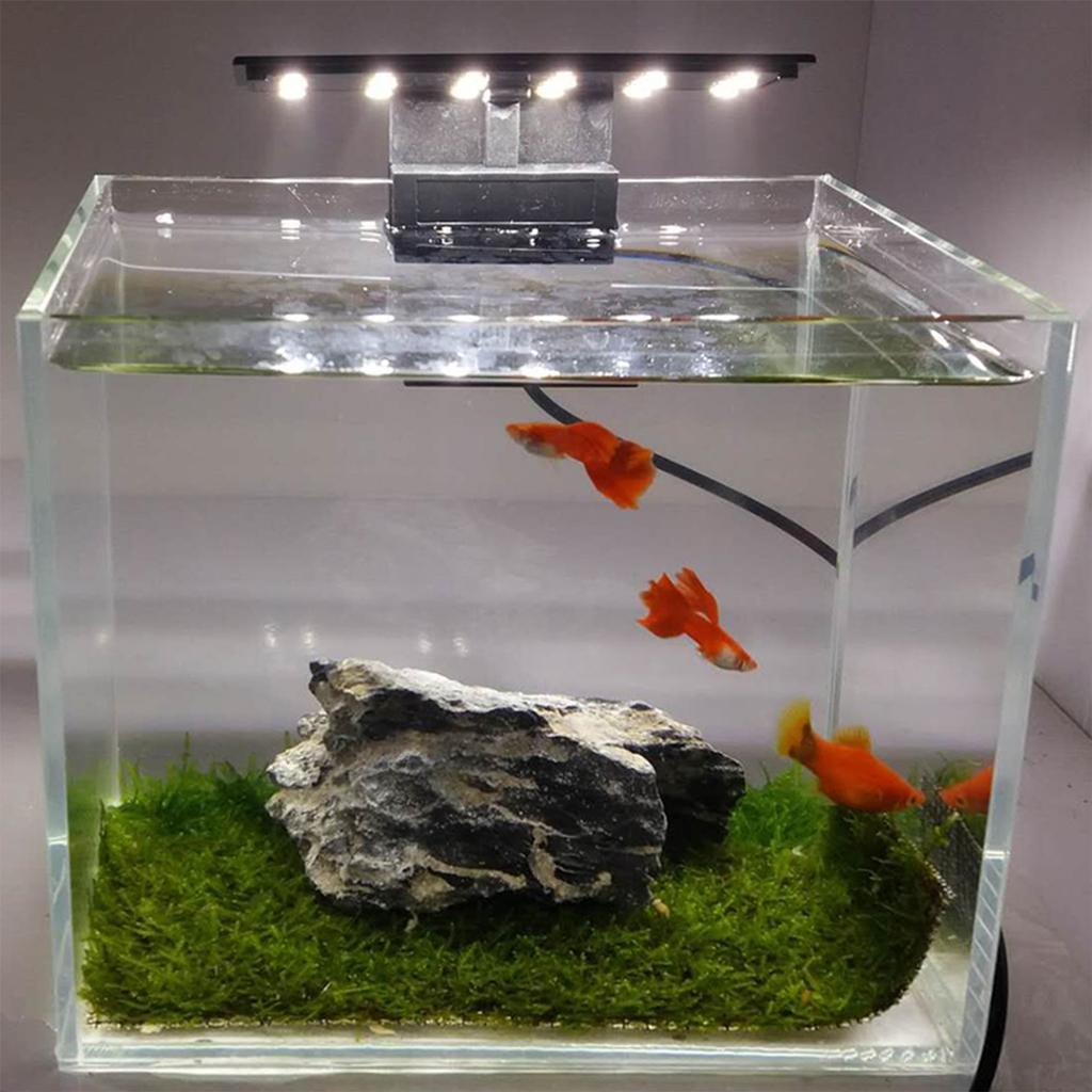 5W Ultra-tynt akvarium LED-lys Ultra Bright Clip-on belysningslampe 12 LED-er for Aquarium Fish Tank