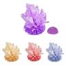 Vibrant Colored Crystals DIY Educational Science Toys Display Cases Crystal Making Kit  Boys