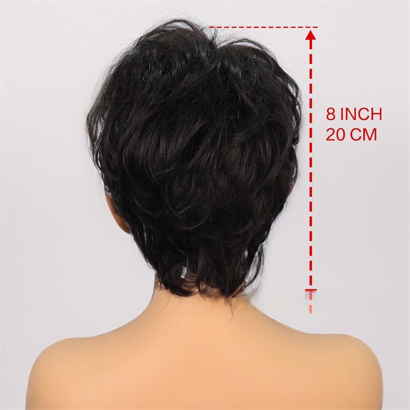 Synthetic Hair Short Black Wigs for Women Natural Hairstyle Casual Wig Black Mixed White Color Fashion Full Wig with Bangs