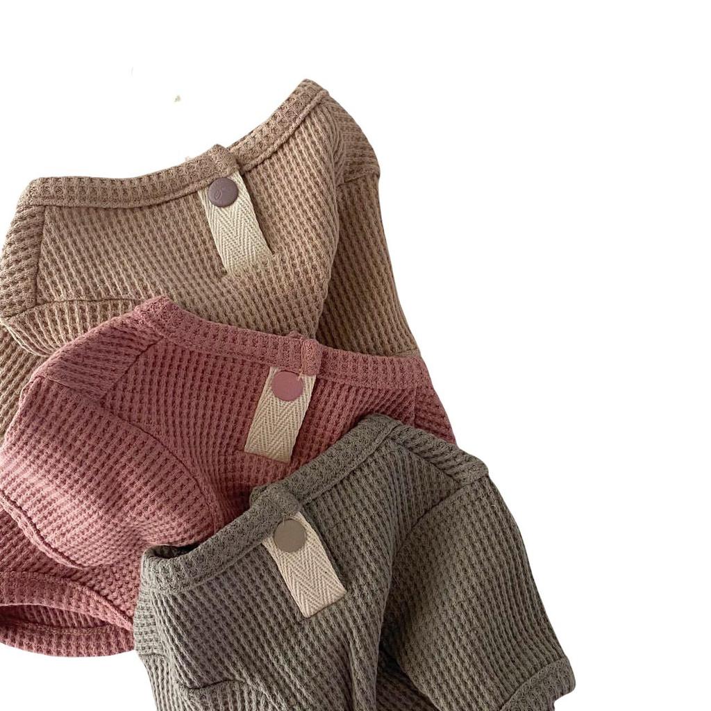 Korean Style Autumn/Winter Hoodie for Dogs - Two-Legged Teddy & Pomeranian Apparel