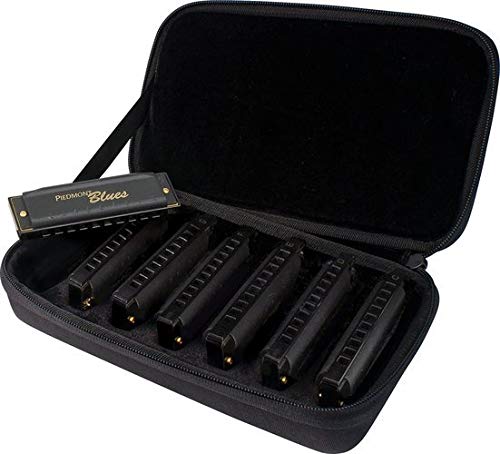 Hohner Piedmont Blues Pack with Case Product 7-Harmonica