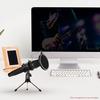 Mini Desktop Microphone Stand + Shock Mount Mic Holder + Pop Filter Kit for
