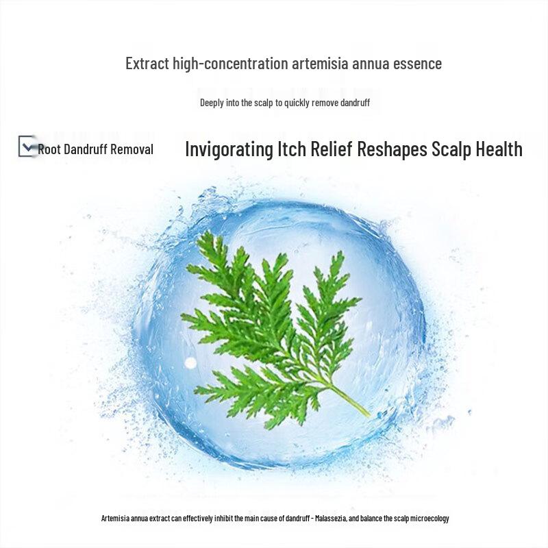 ConQUER Artemisia Anti-Dandruff & Refreshing Shampoo