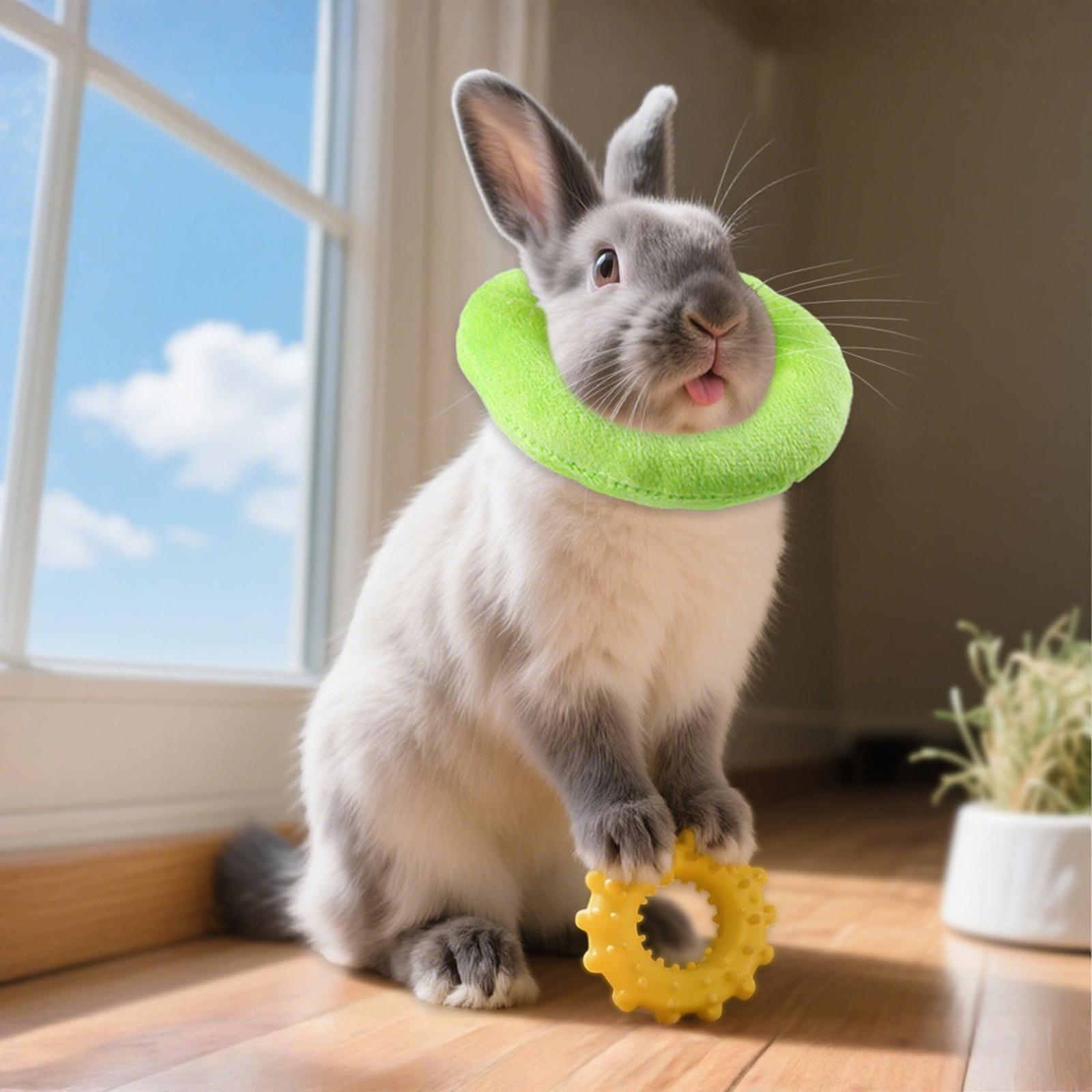 Adjustable Elizabeth Collar for Small -Lick - Recovery Collar for Bird Hamster Guinea Pig S