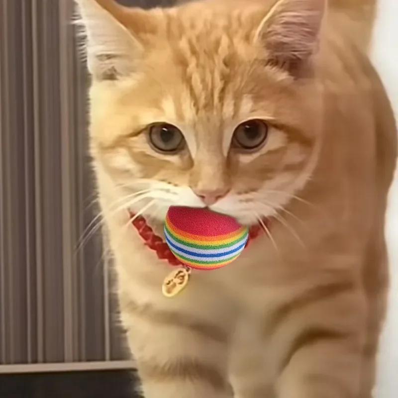 100/10 PIEZAS Pelotas de Juguete para Mascotas Interactivas Arcoíris Bolas de EVA Juguetes de Entrenamiento para Gatos Perros Bolas Suaves de Salto Automático Suministros para Jugar Mascotas
