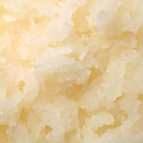 Kawasaki Synthetic Resin Stand Cooker CS-020