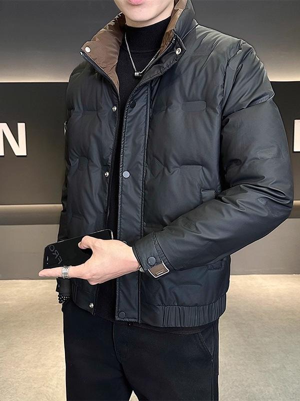 Men's 2025 Winter Trend Casual Stand-Up Collar Duck Down Jacket - Youthful Versatile Warm Outerwear